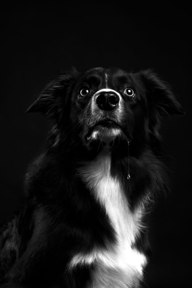 Photograph by наталья залогина