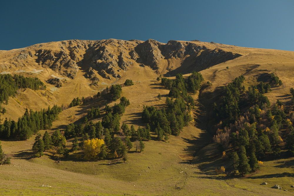 Фотография автора Медведев Сергей