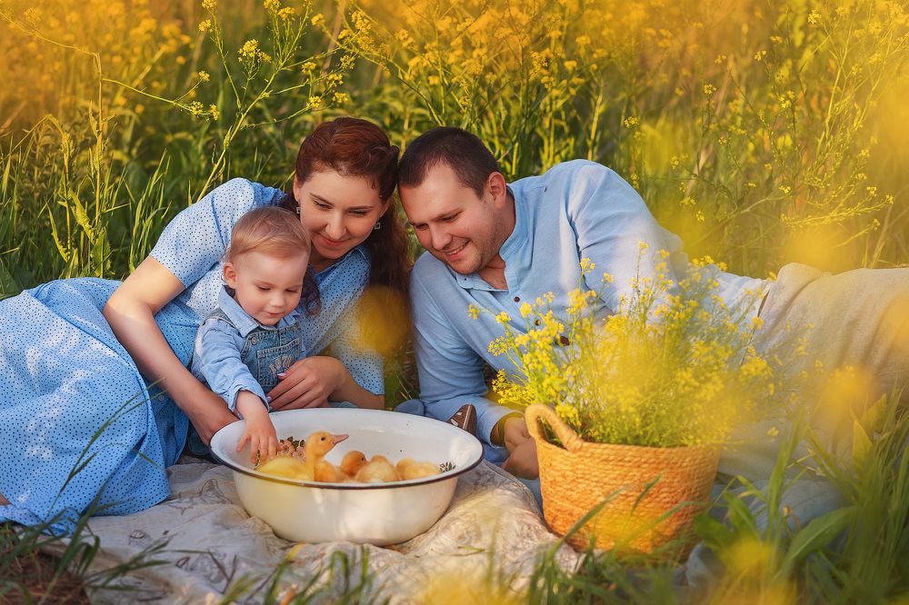 Фотография автора  Анастасия