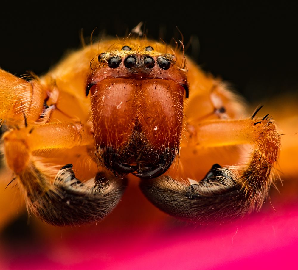 Photograph by Sabari Photography