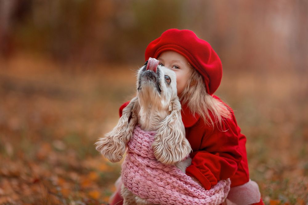 Фотография автора  Анастасия