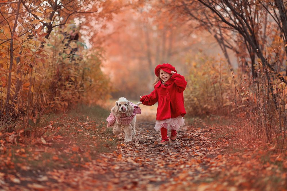 Фотография автора  Анастасия