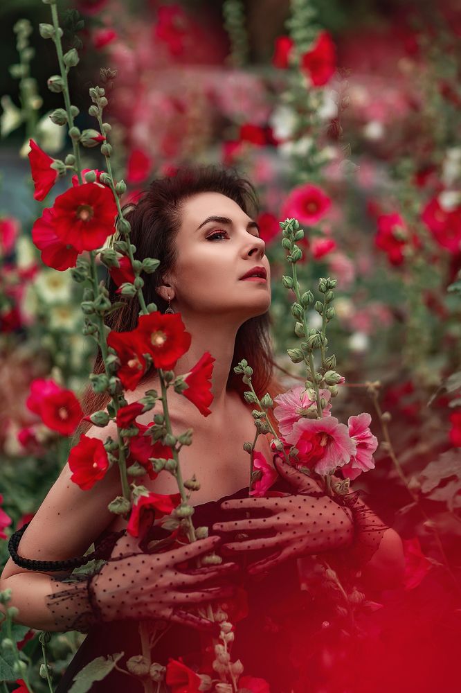 Фотография автора  Анастасия