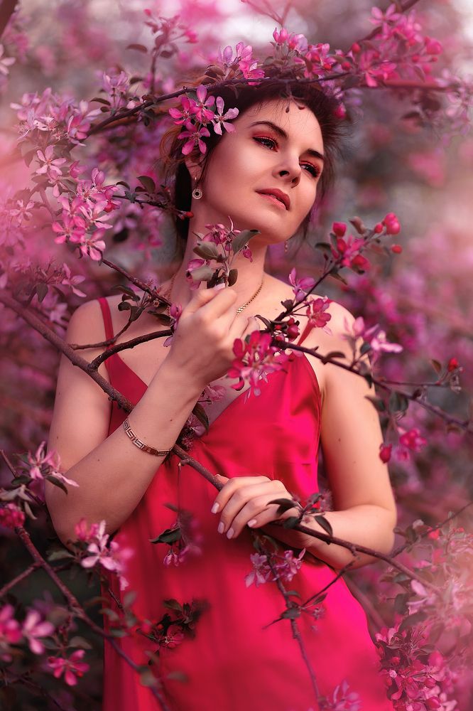 Фотография автора  Анастасия