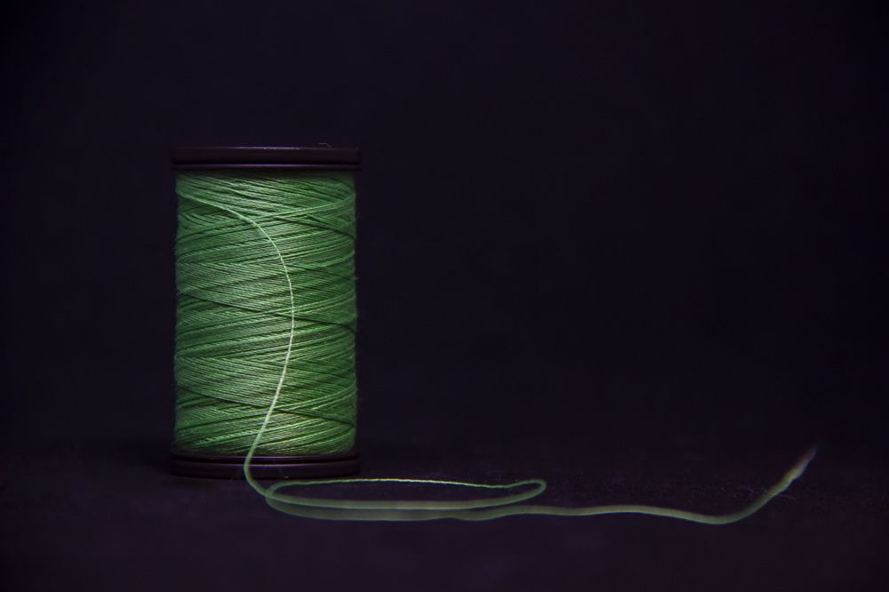 Photograph by Anna Gapanovich