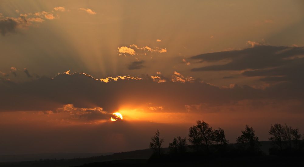 Photograph by Александр