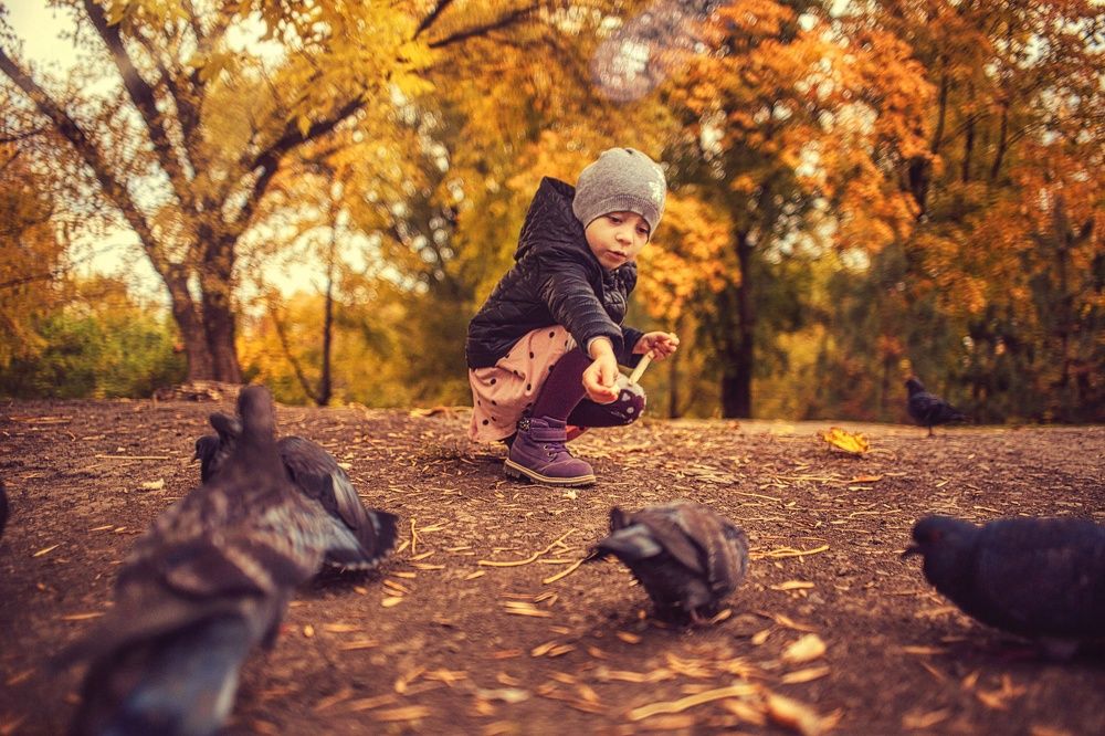 Photograph by Анатолий Климов