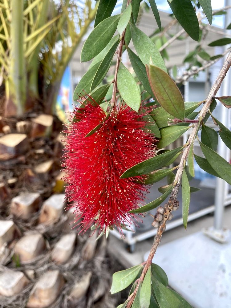 Фотография автора Александр Заикин