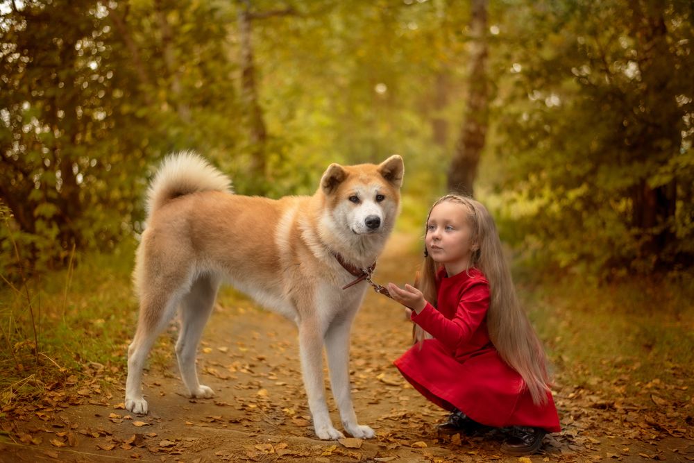 Photograph by Мария Антия