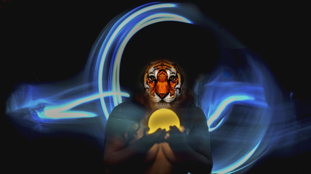 Фотография автора Fawad Hashmi