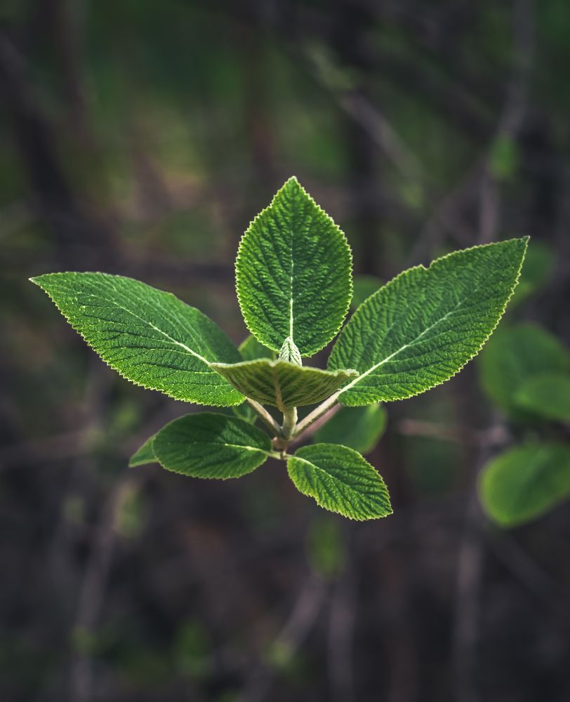 Photograph by Ксения Прохорова