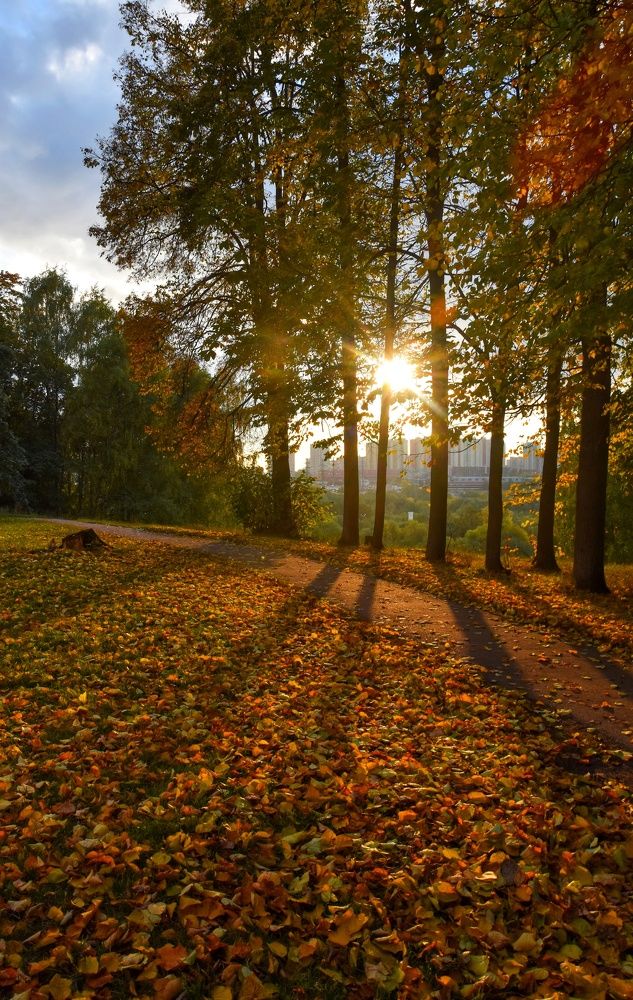 Photograph by Ксения Прохорова