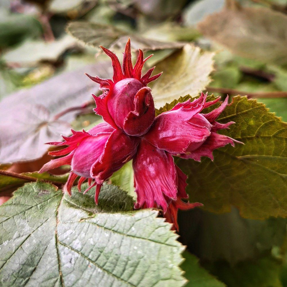 Photograph by Олика