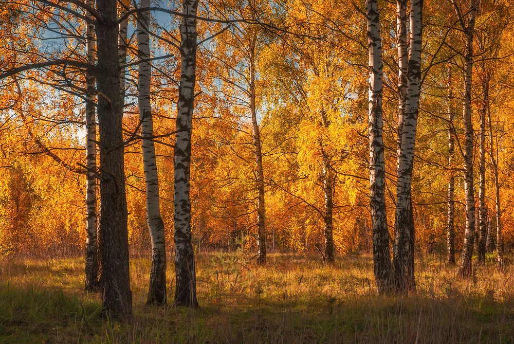 Photograph by Елена Потемина