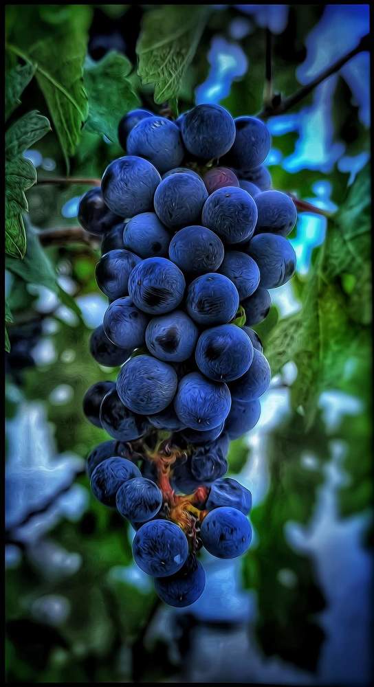 Photograph by Polina Svirida