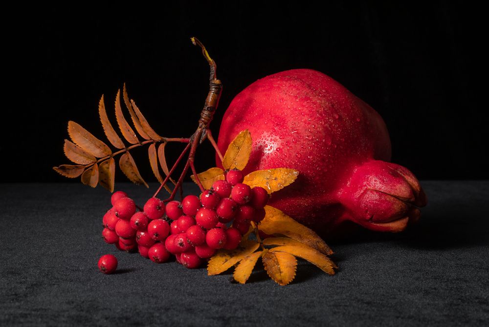 Photograph by Соколова Ирина