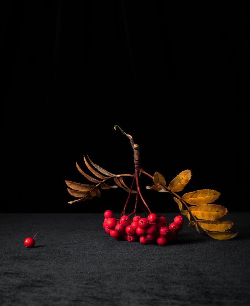 Photograph by Соколова Ирина