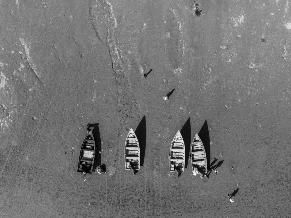 Photograph by Pourarab Mohammad Mahdi