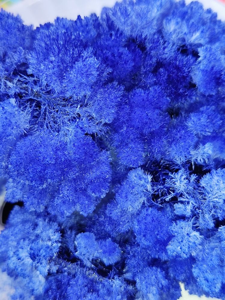 Photograph by Наталья