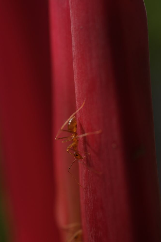 Фотография автора R. Zai