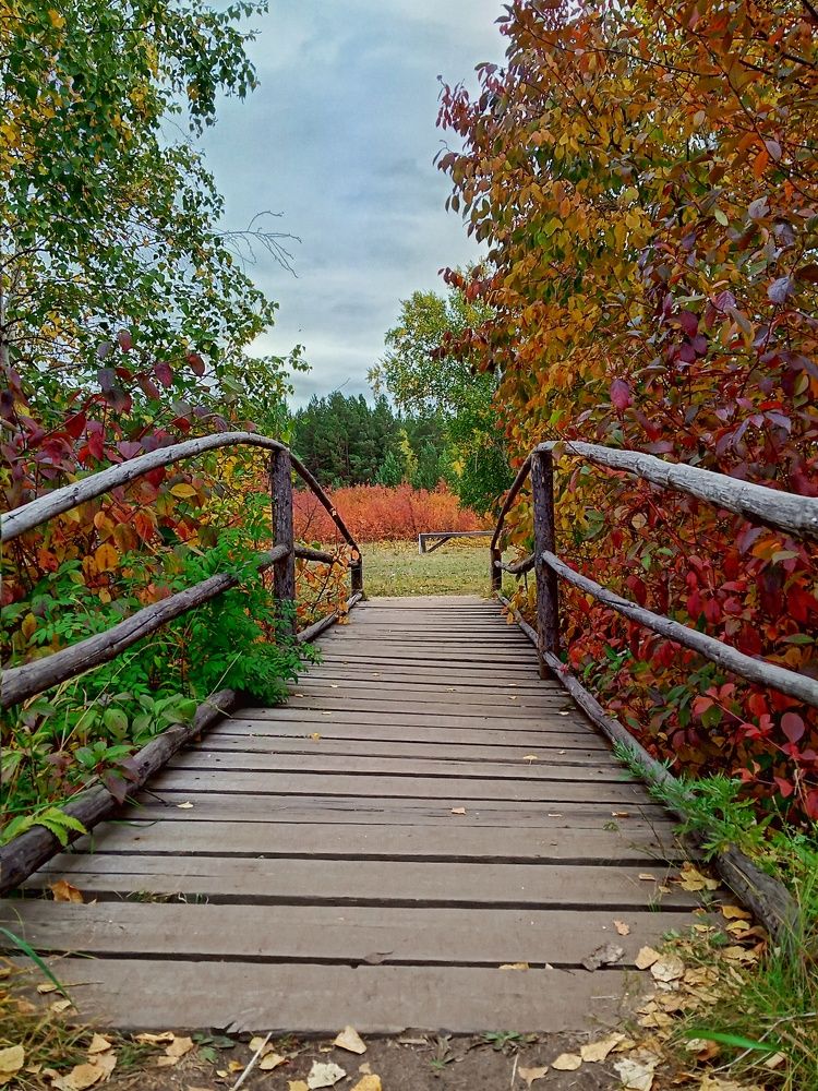 Краски осени в Забайкалье