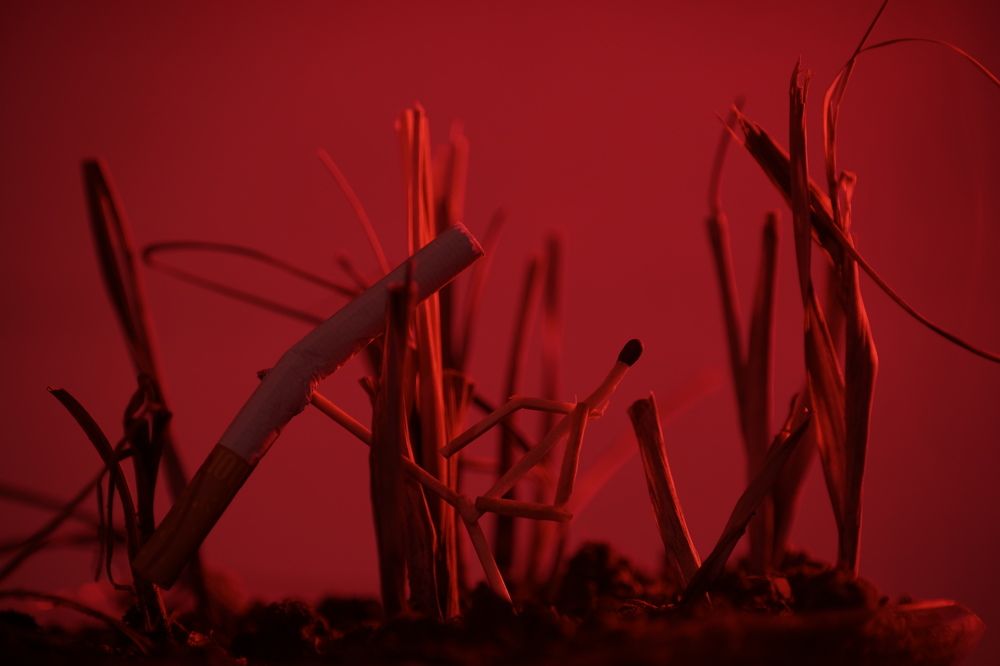 Фотография автора R. Zai