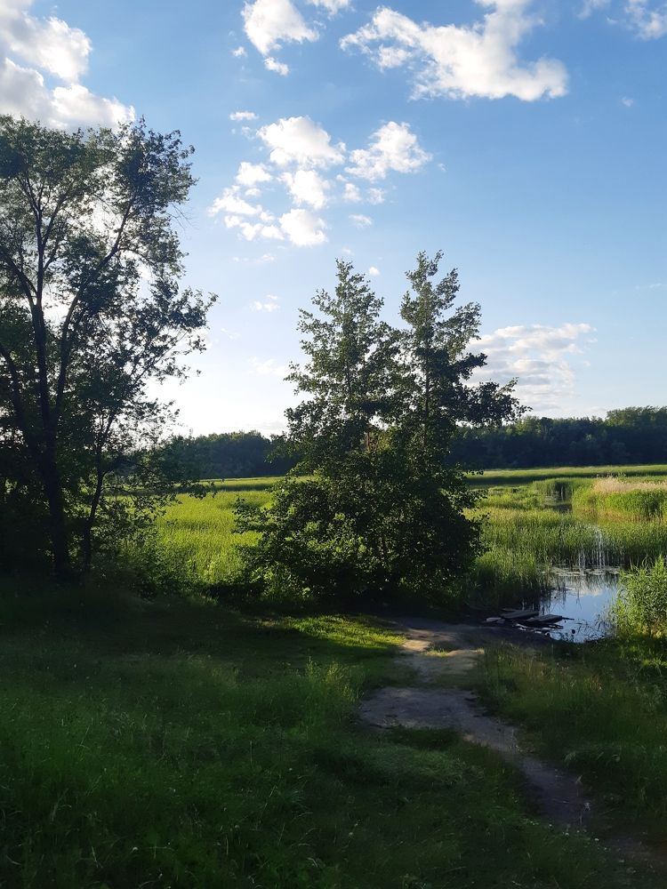 Photograph by Ольга Александрова