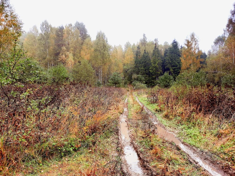 Photograph by Елена Симонова