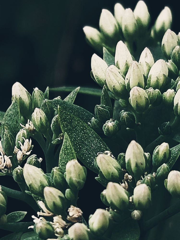 Photograph by Ольга Александрова