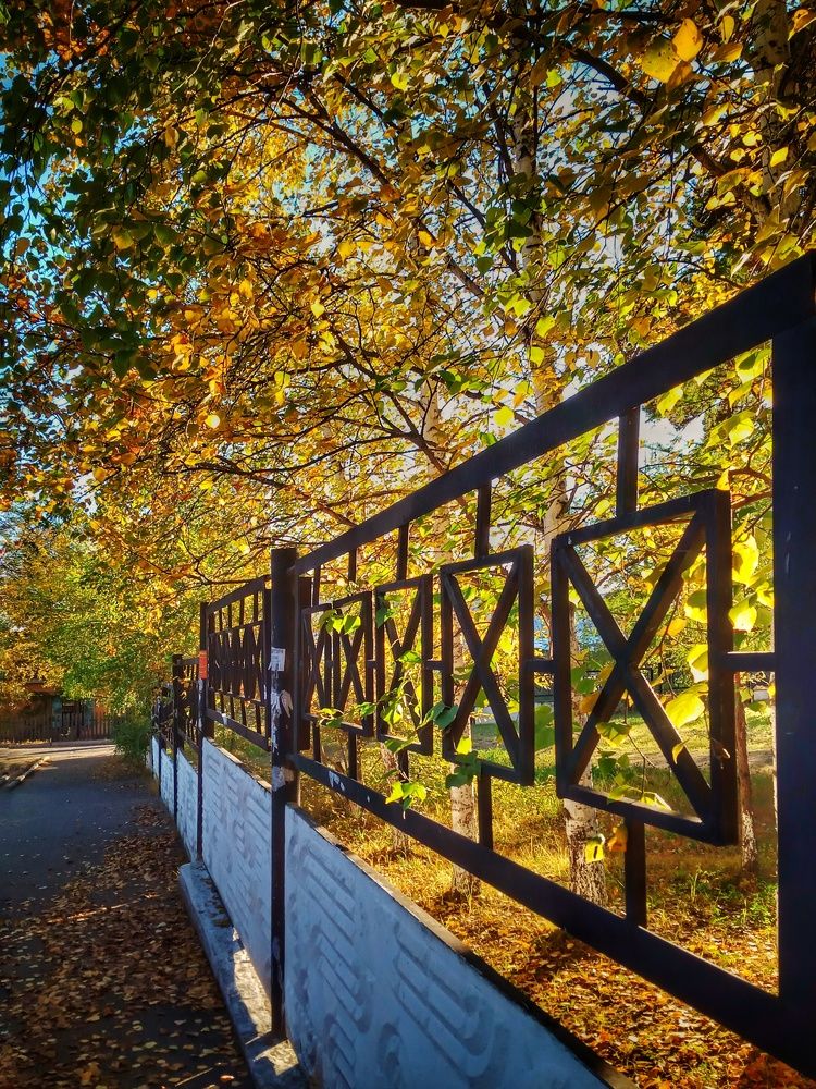 Тёплая осень