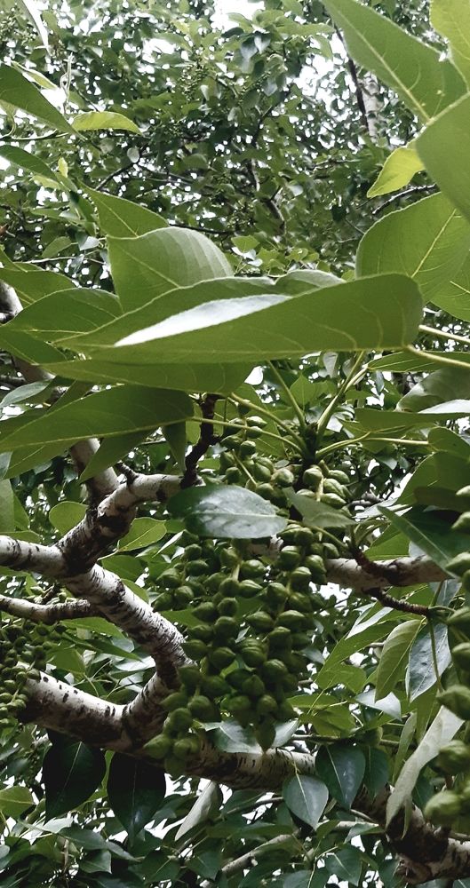 Photograph by Ольга Александрова