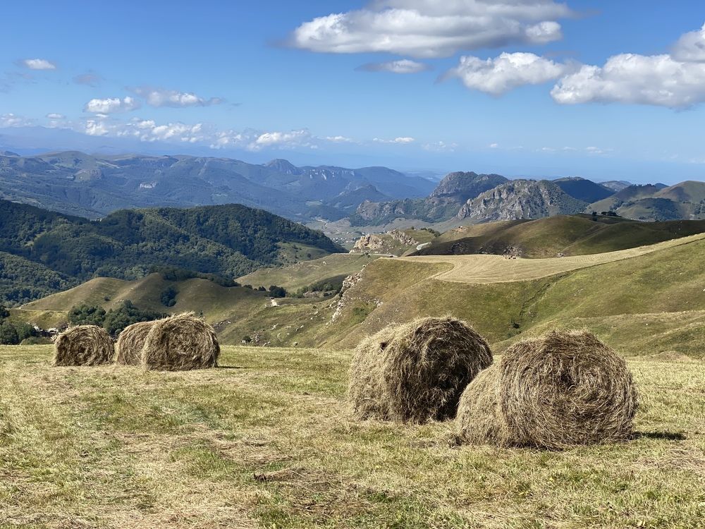 Фотография автора Ольга Горюнова