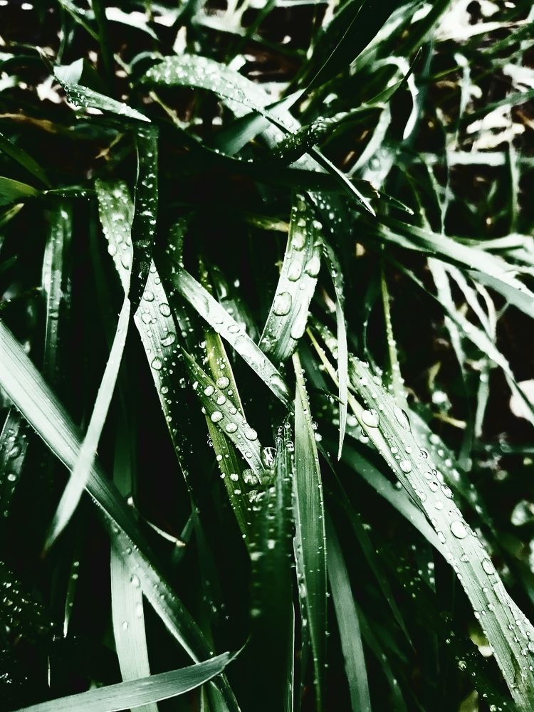 Photograph by Ольга Александрова