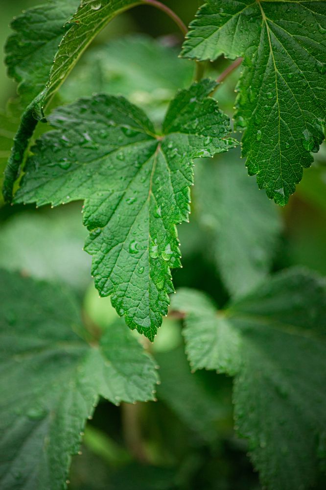 Photograph by Яна Нурмакина