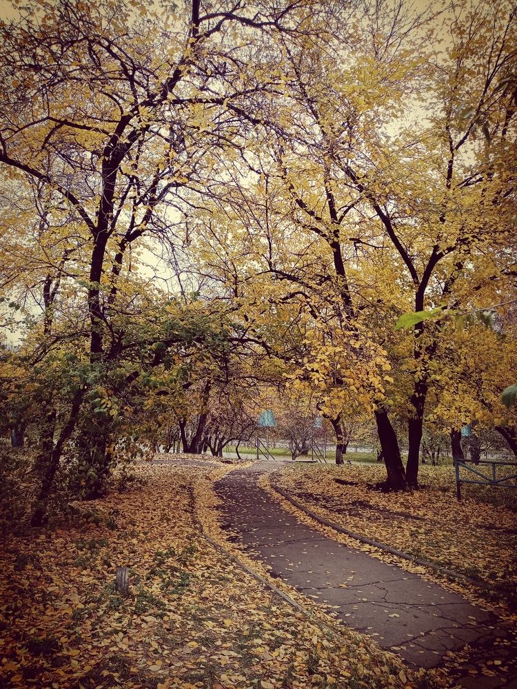 Photograph by Владимир Сушкин