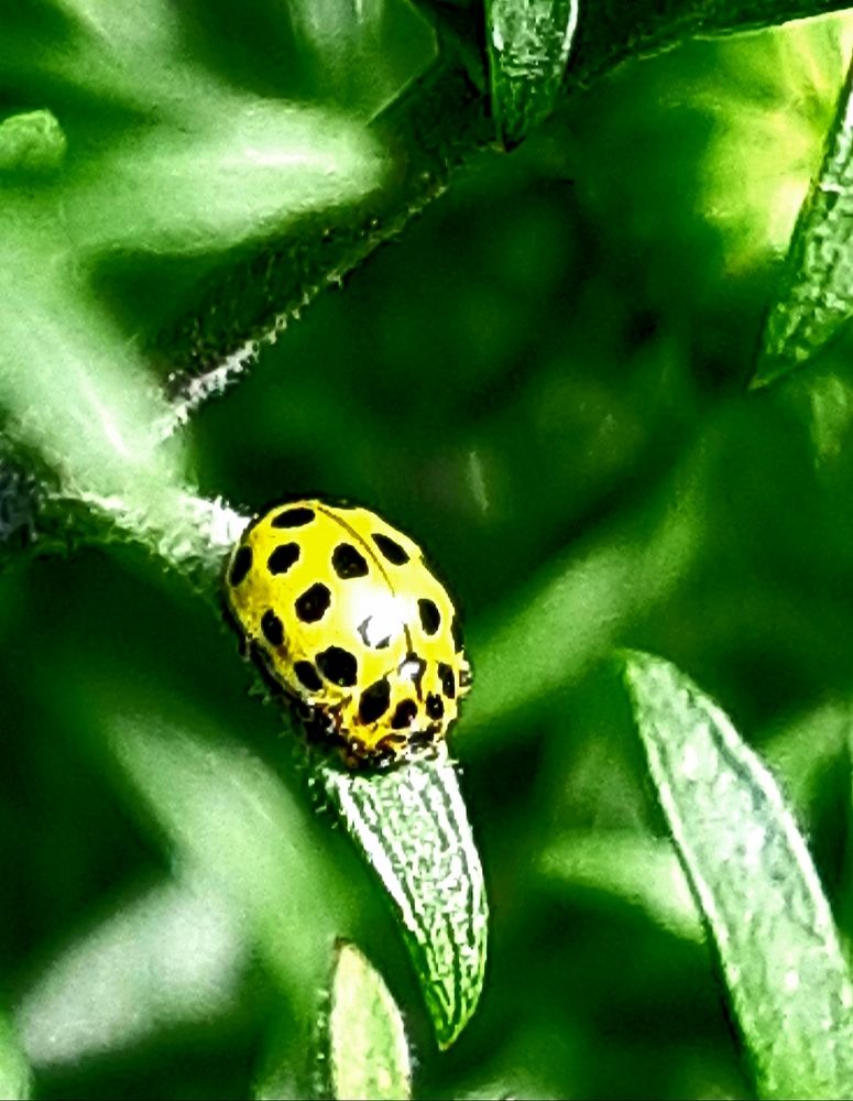 Photograph by Ольга Александрова