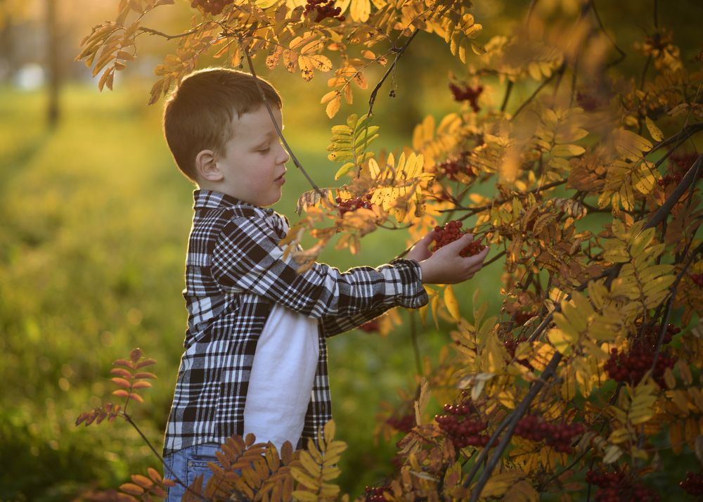 Photograph by Дарья