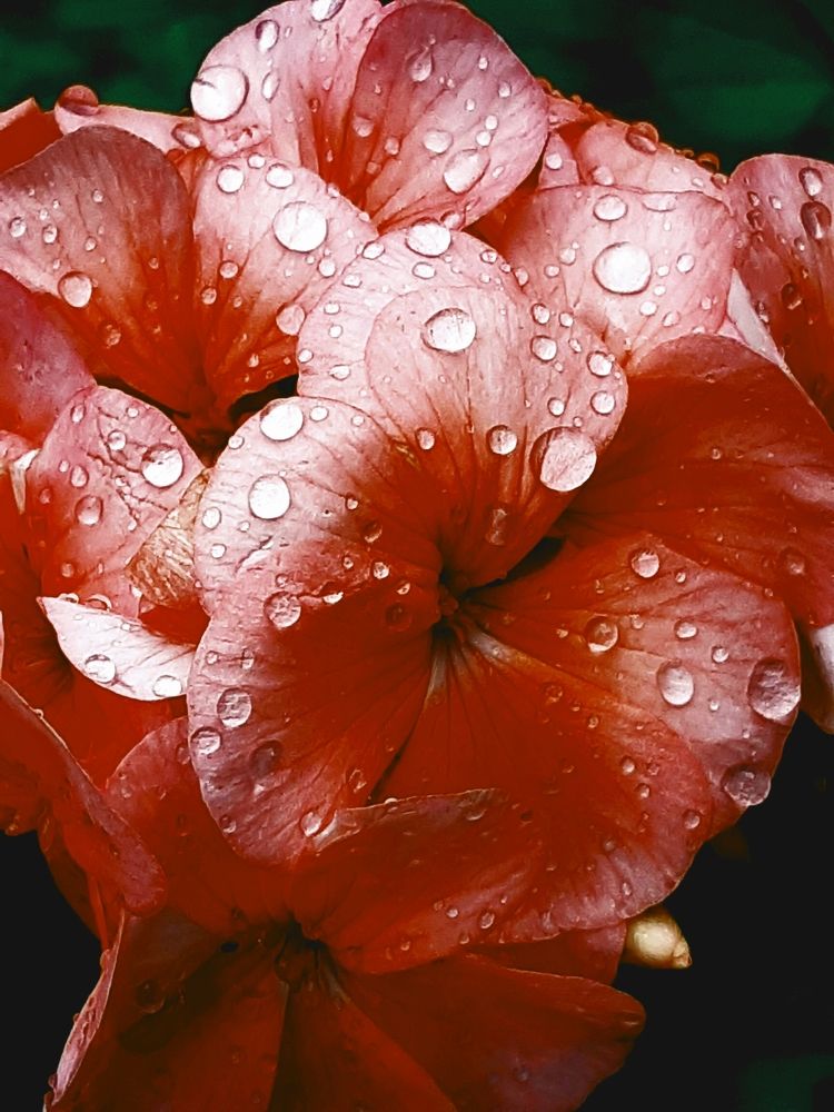 Photograph by Ольга Александрова