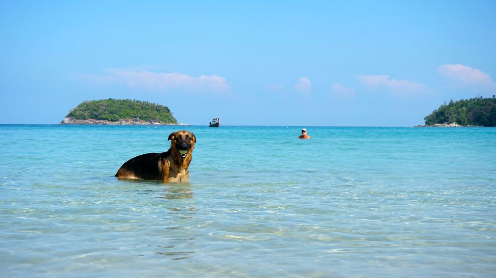 Photograph by Сергей