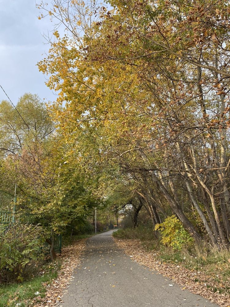 Photograph by Oksana lukyanova