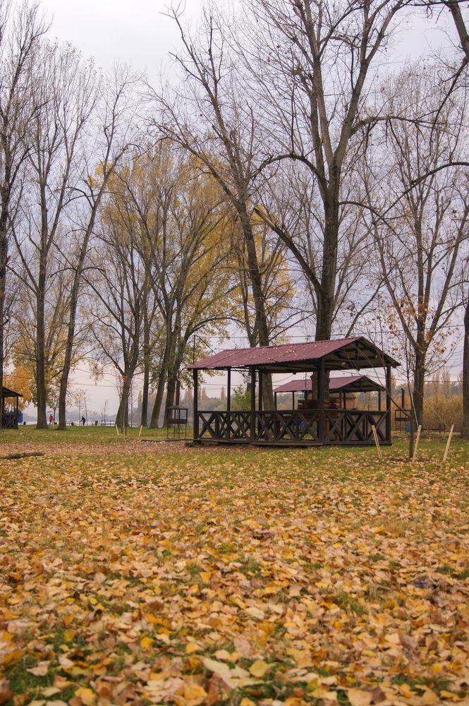 Photograph by Oksana lukyanova