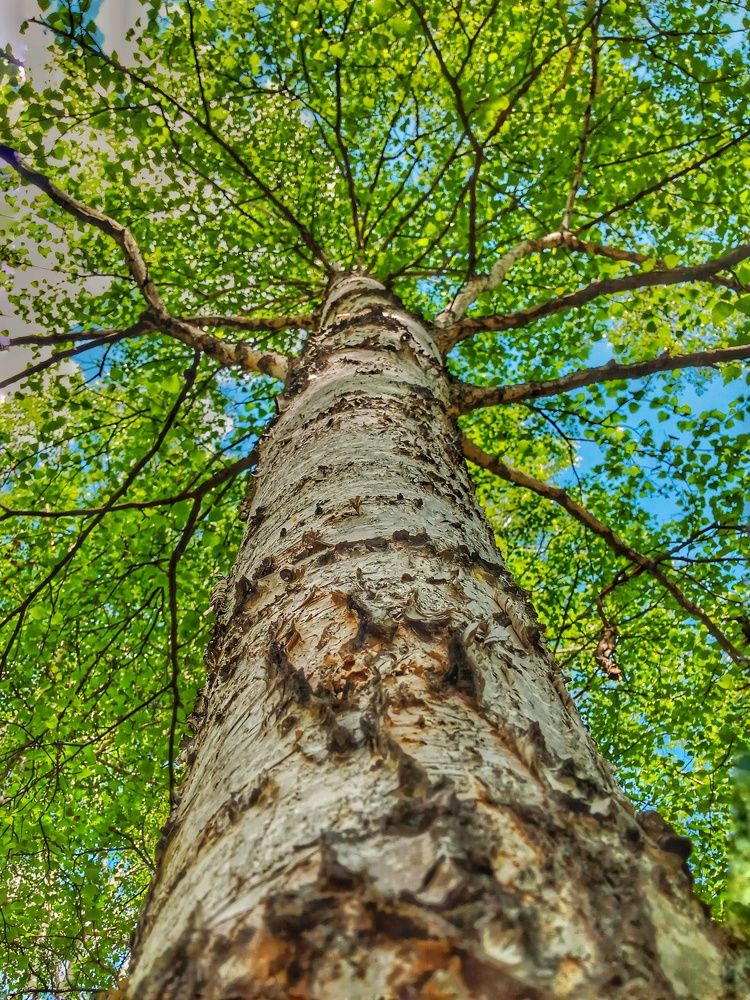 Photograph by Болдаков Сергей