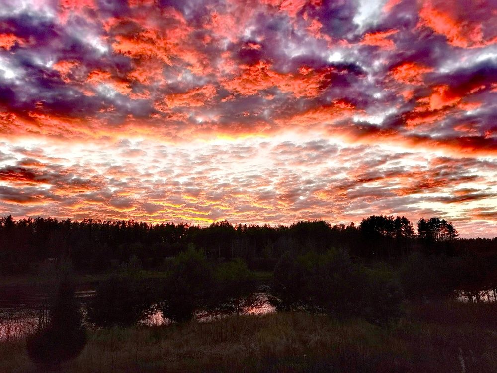 Photograph by Ирина Смирнова