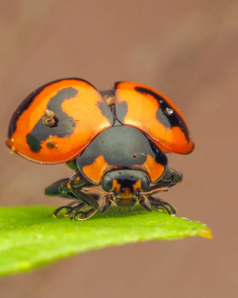 Photograph by Hardeep Solanki