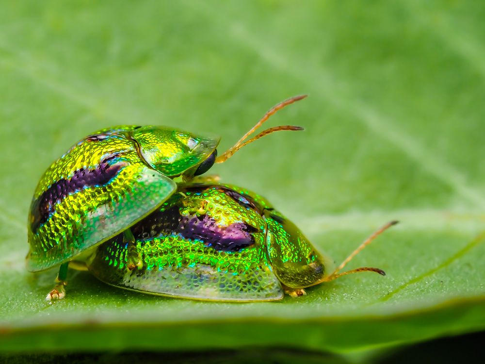 Photograph by Hardeep Solanki