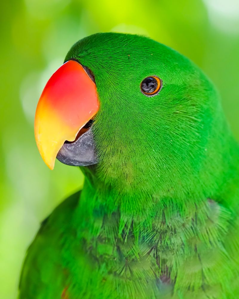 Photograph by Hardeep Solanki