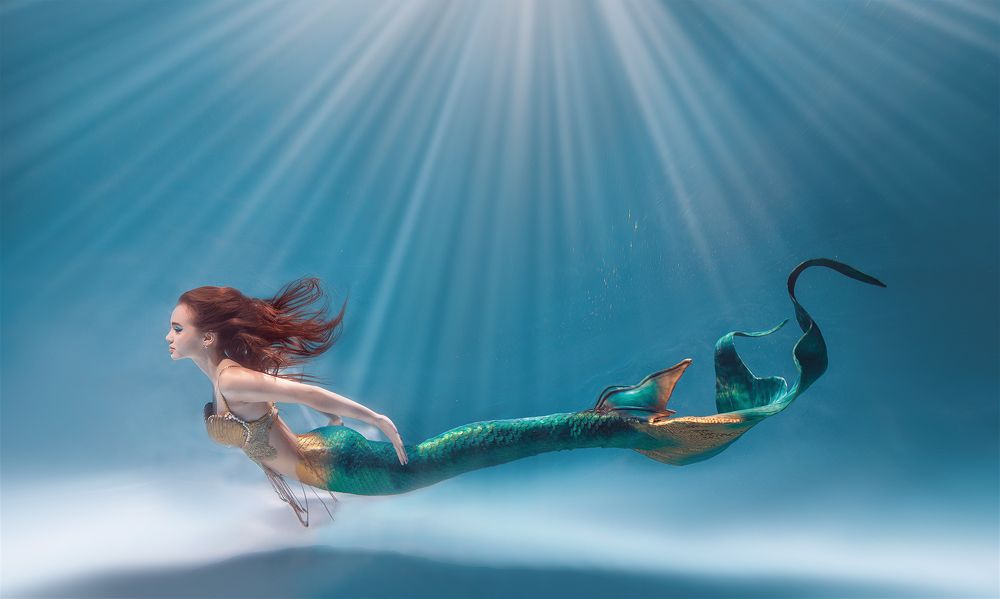 Фотография автора Анисимова Наталия