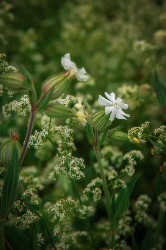 Photograph by Анастасия Глазюк