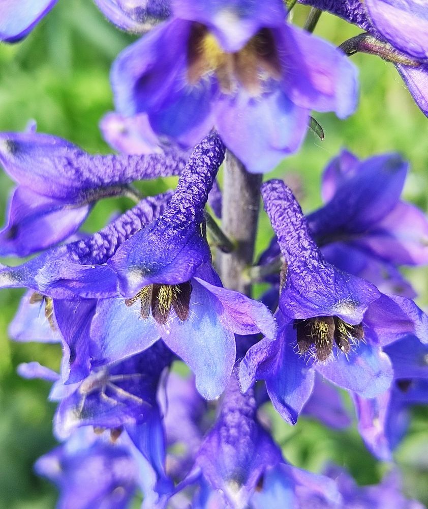 Photograph by Наталья