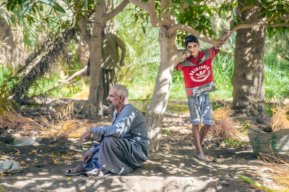 Фотография автора Adel Bayoumi